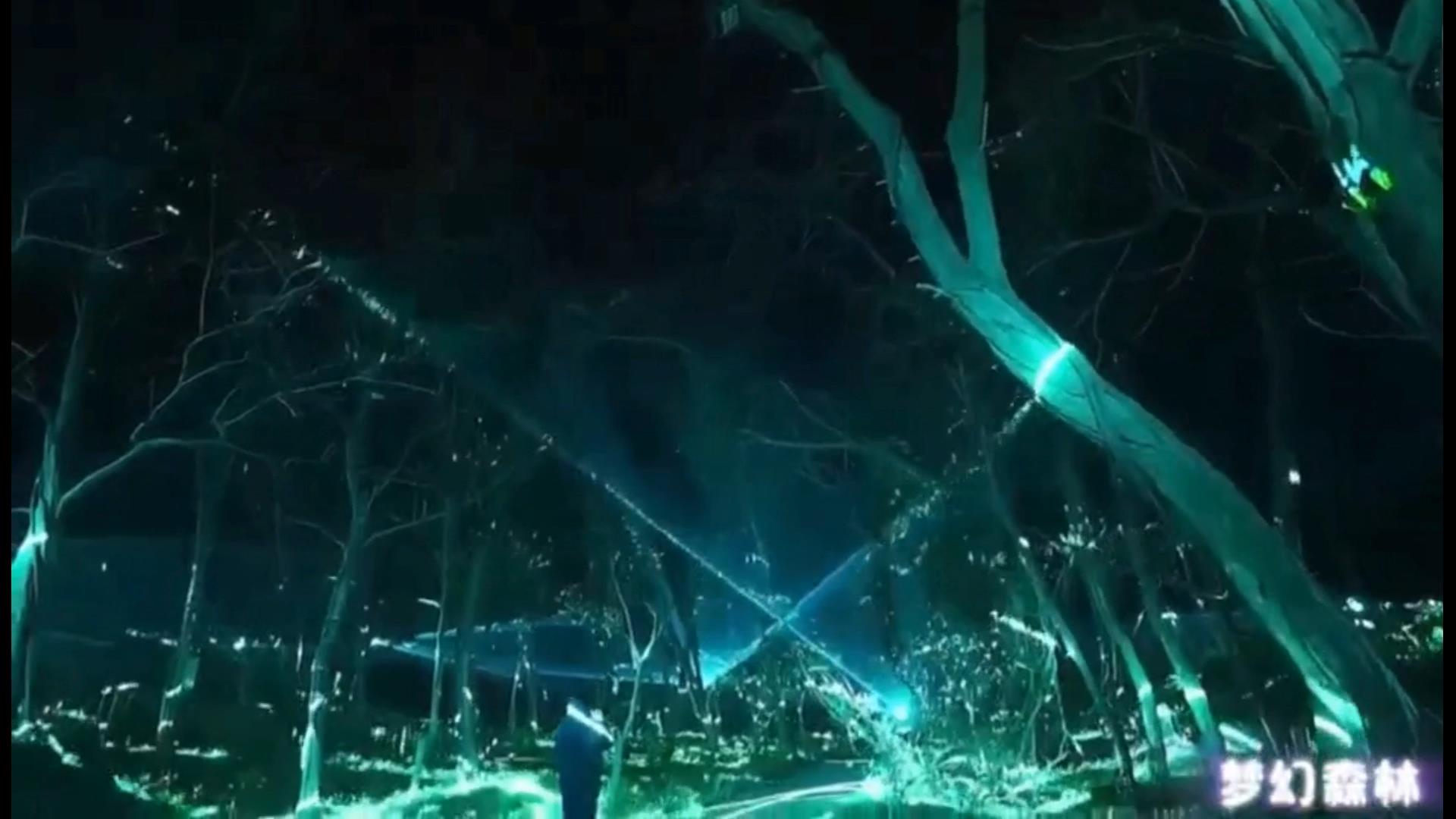 梦幻森林